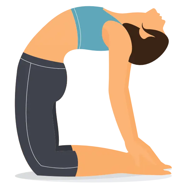 Camel Pose, Ustrasana